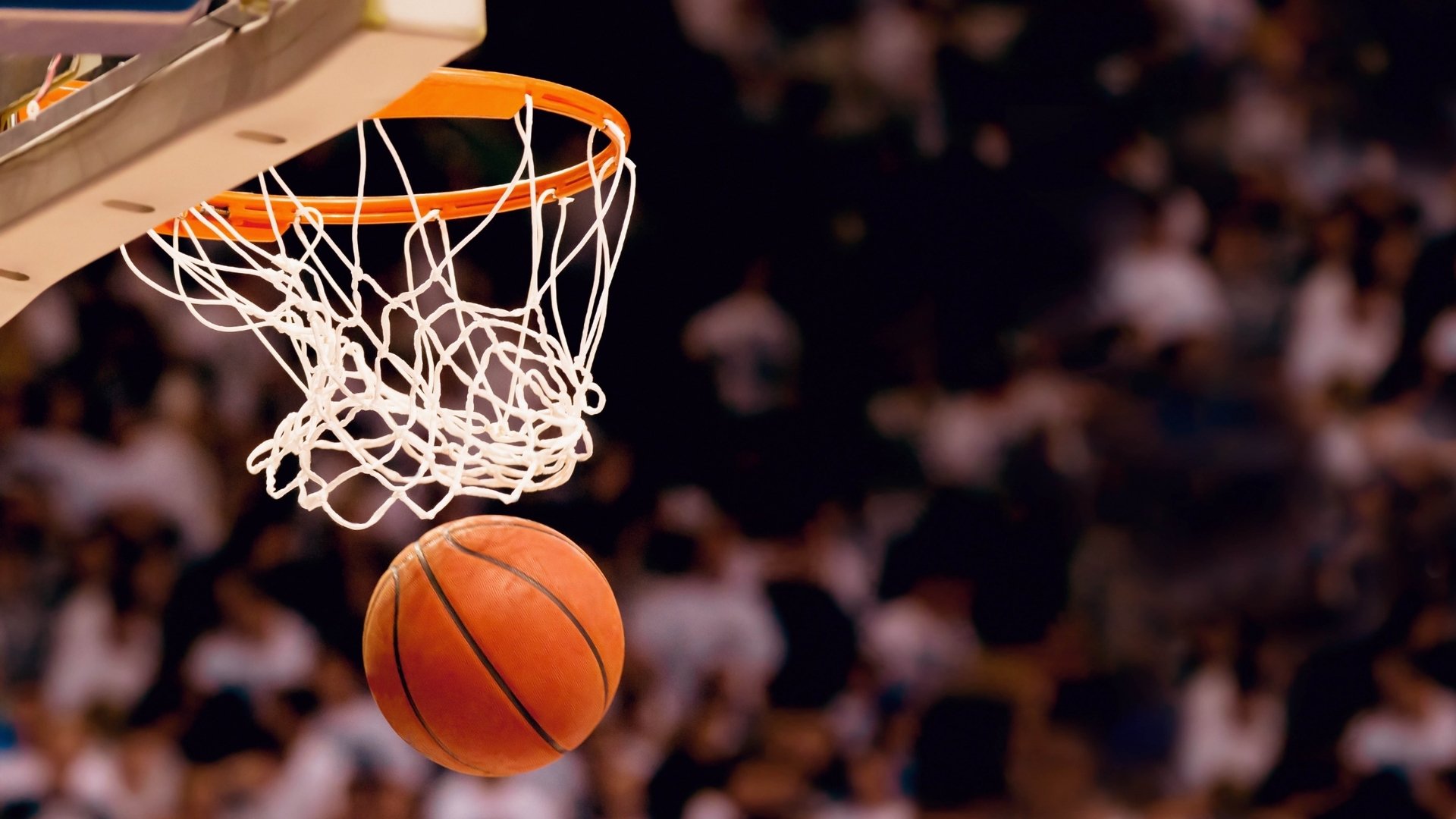 jinnianhui电脑app-跨界乱斗，纳达尔复出遇门柱，勒沃库森中框，CBA与NBA莱比锡集结